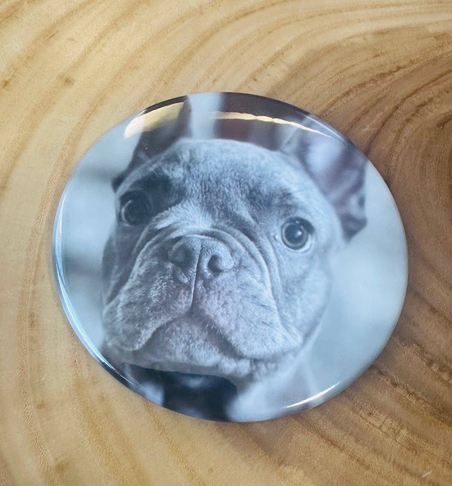 Round 3.5" Custom Photo Magnets